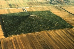 Aerial view of burial mound